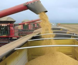 Alta nos custos do diesel reacende debate sobre revisão da tabela de frete no Brasil