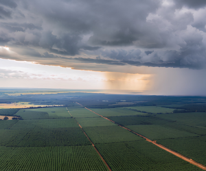 Chuva retorna ao Centro-Oeste e pode trazer volumes expressivos para áreas produtoras